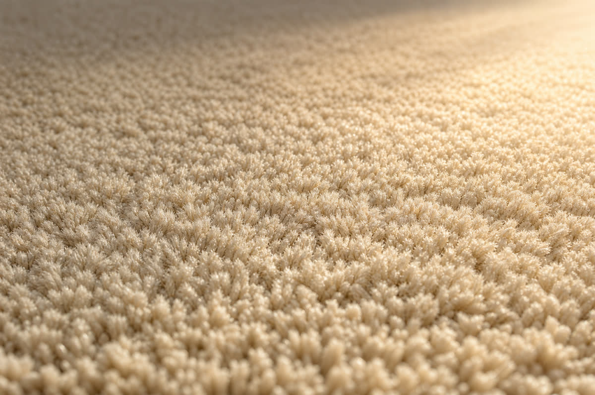 Non-toxic carpet cleaning close-up — plush, freshly cleaned carpet fibers on the Gulf Coast